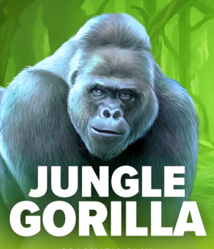 Jungle Gorilla